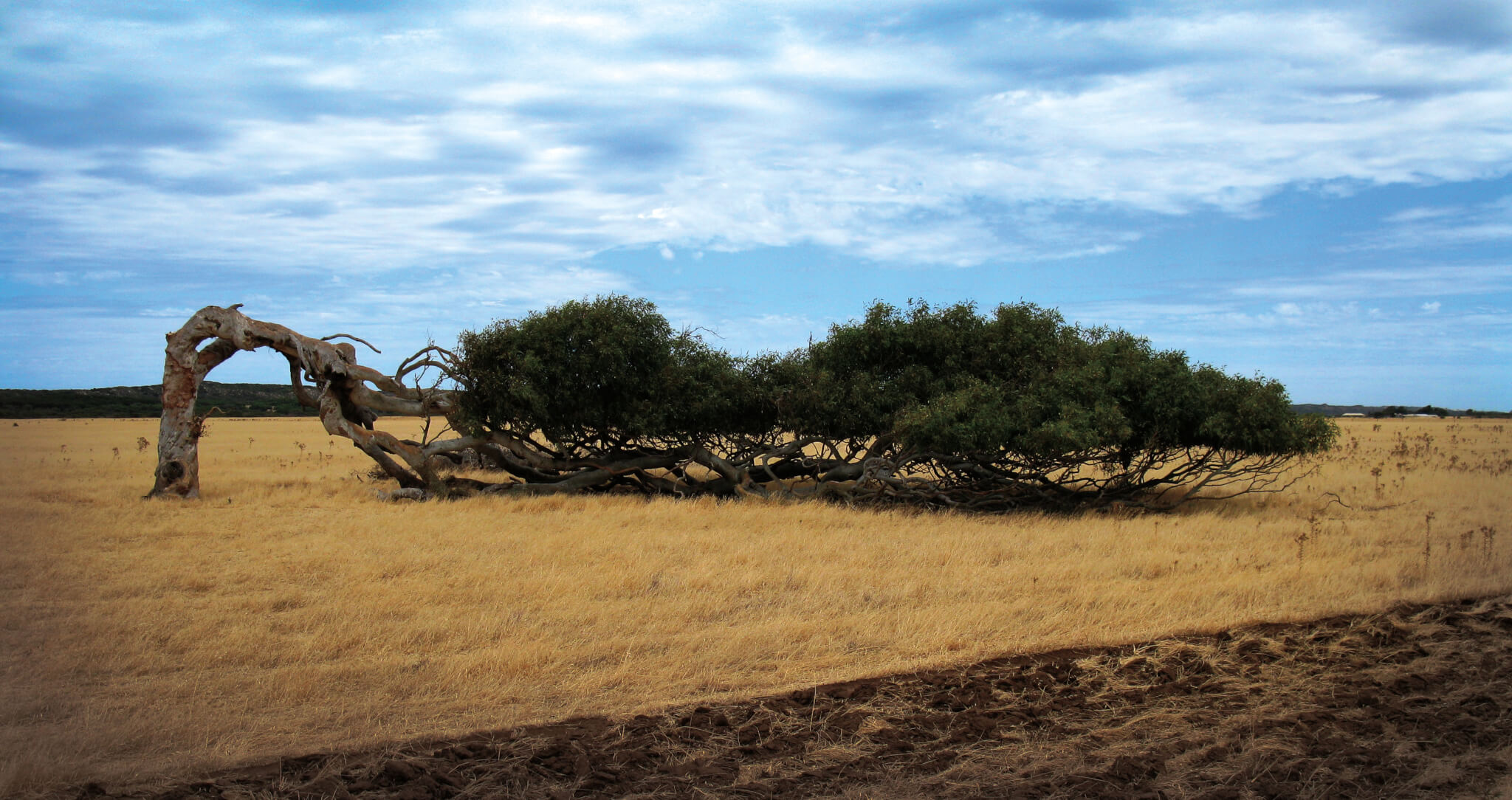 Bouncing Back The Value Of Resilience 2civility