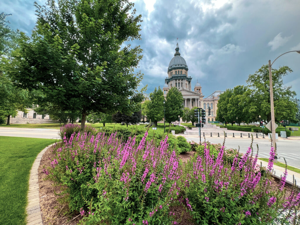 Summer views of the Illinois State Capitol Building in Springfield, IL, USA. Purple summer blooms and green leafy trees in the foreground. The Capitol Building in the distance with thick cloud cover illinois legal events